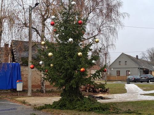 Vánoční strom, pečení perníčků